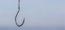 Gone Phishing