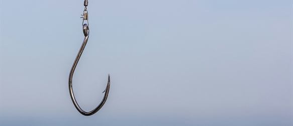 Gone Phishing